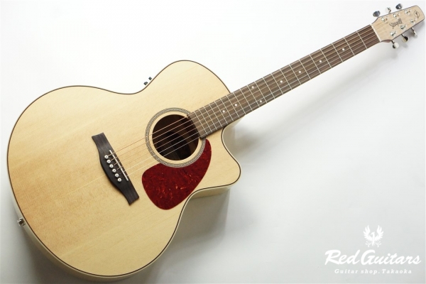 Performer CW Mini Jumbo HG QIT